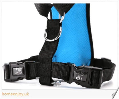 Durable dog safety harness and car seat belt set in 3 colours and 4 sizes for optimal comfort and fit
