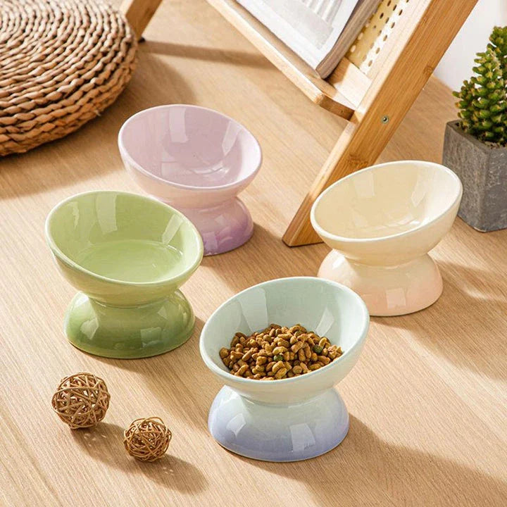 Gradient Ceramic Cat Bowl with raised and tilted design for comfortable pet dining