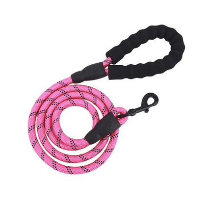 Durable and reflective nylon rope lead for dogs, available in multiple adjustable lengths for enhanced visibility and safety during walks.