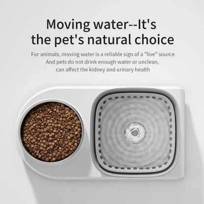 Automatic Cat Water Fountain & Feeder - 3L Dual-Function Pet Hydration Station for Feline Hydration and Feeding