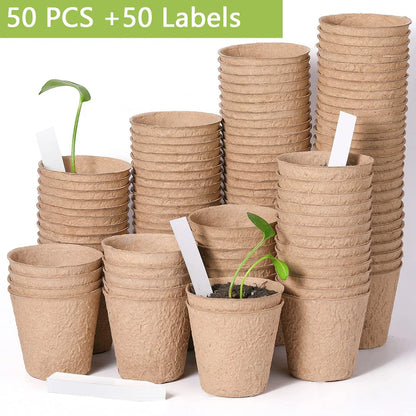 Biodegradable paper nursery pots and plant labels set for sustainable gardening