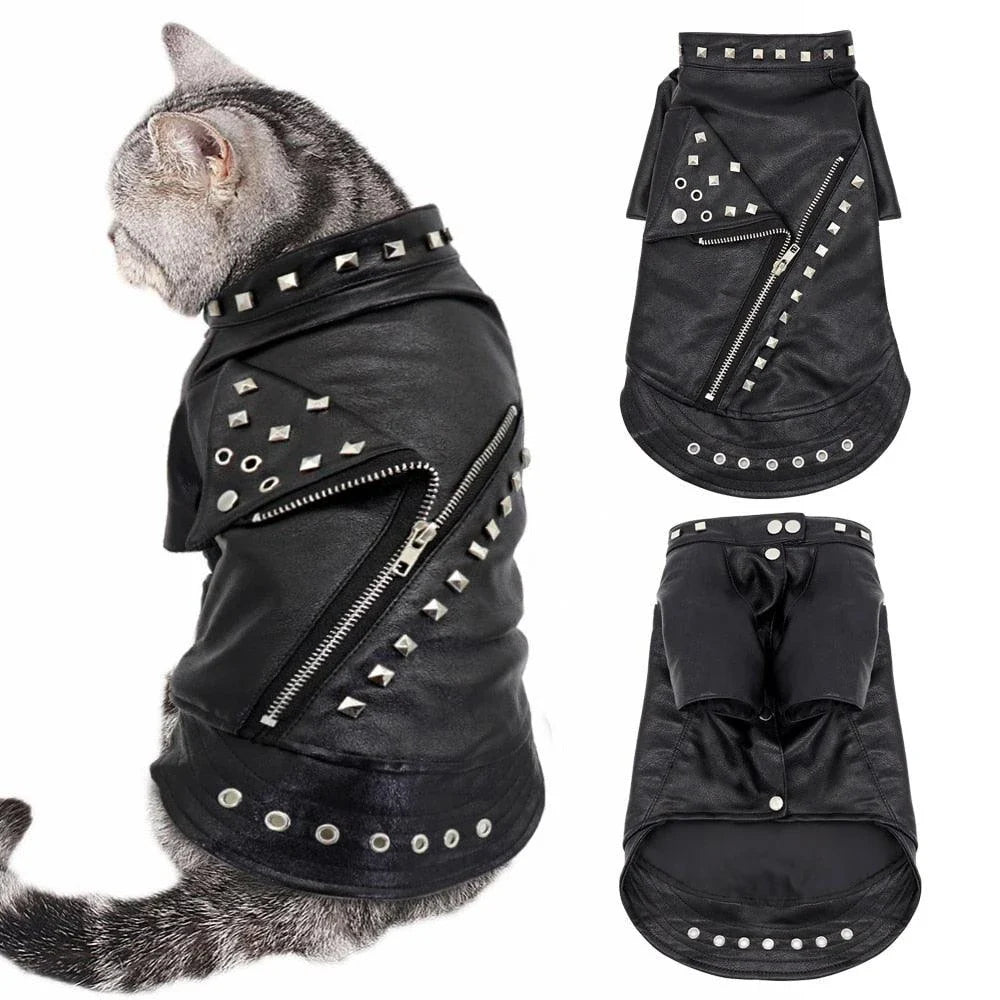 A black leather jacket designed for cats, featuring a sleek and stylish look to elevate your feline's fashion sense.