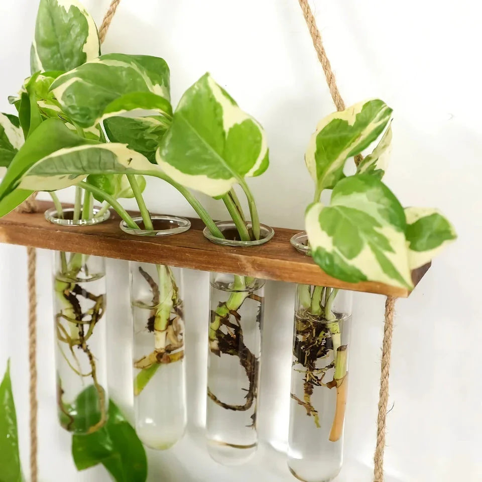 Elegant bamboo hydroponic wall vase with a sleek glass tube suspended in a wooden frame, displaying lush greenery