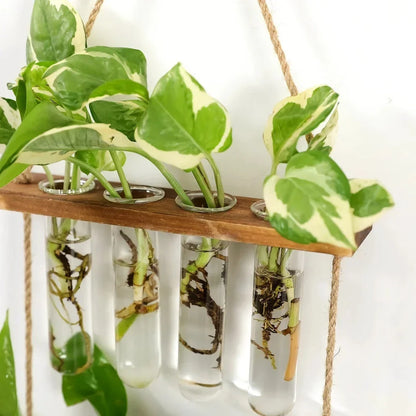 Elegant bamboo hydroponic wall vase with a sleek glass tube suspended in a wooden frame, displaying lush greenery