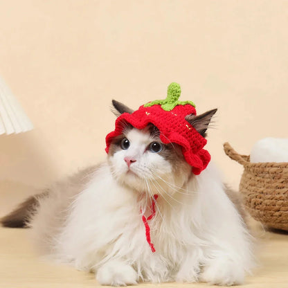 Adorable knitted party hat for cats and small dogs in a frog design