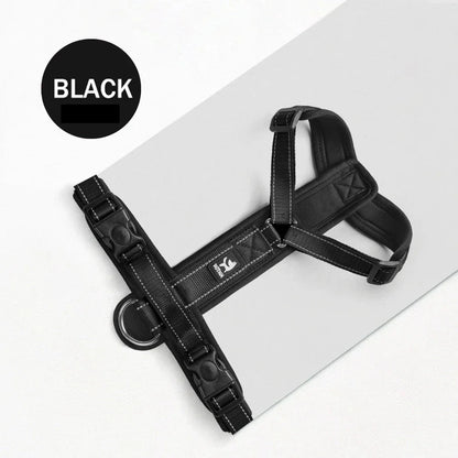 Adjustable reflective padded dog harness in multiple colours for enhanced visibility and safety during walks and outdoor activities