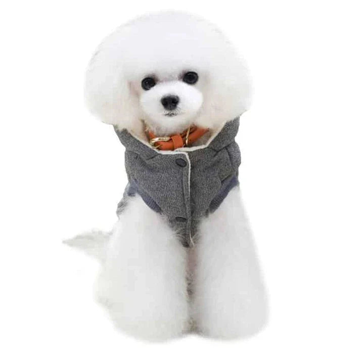 Cozy and stylish hooded winter jacket for dogs, made of soft cotton material to keep your pet warm and comfortable.