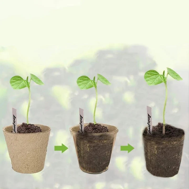 Biodegradable paper nursery pots and plant labels set for sustainable gardening