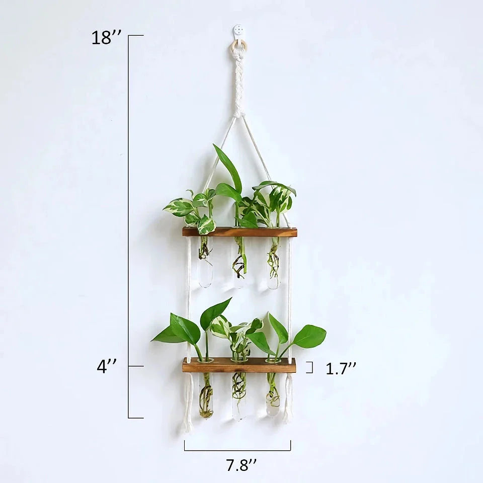 Elegant bamboo hydroponic wall vase with a sleek glass tube suspended in a wooden frame, displaying lush greenery