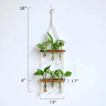 Elegant bamboo hydroponic wall vase with a sleek glass tube suspended in a wooden frame, displaying lush greenery
