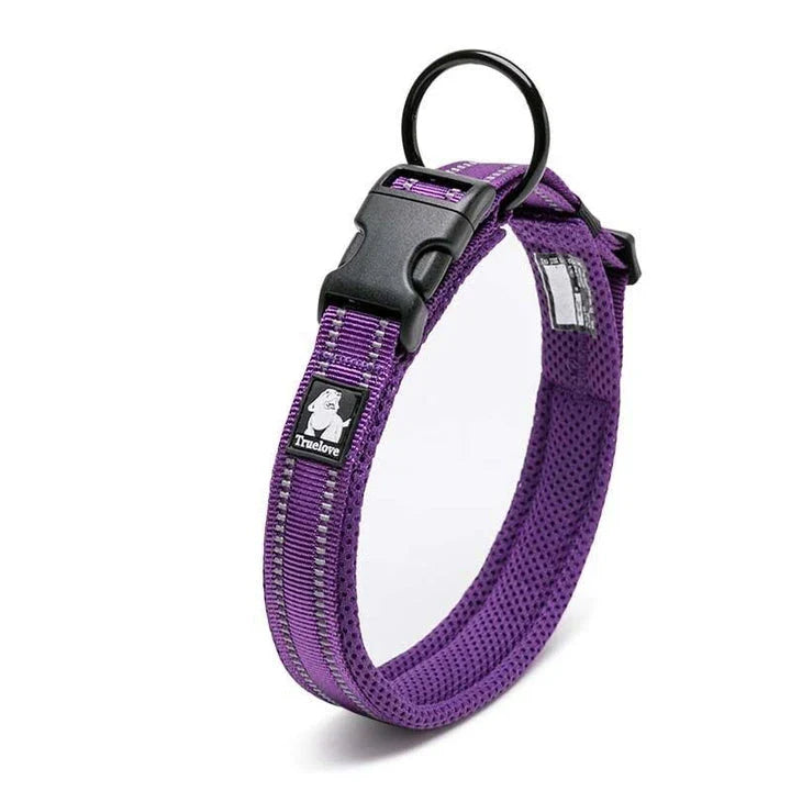 Adjustable nylon dog collar with reflective stripes, available in various vibrant colours for UK pet owners