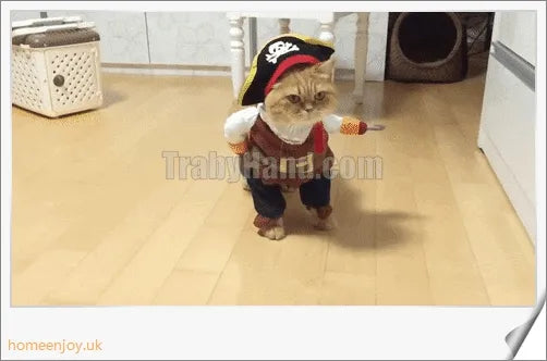 Charming pirate costume for cats and dogs made of soft, breathable polyester and non-woven fabrics