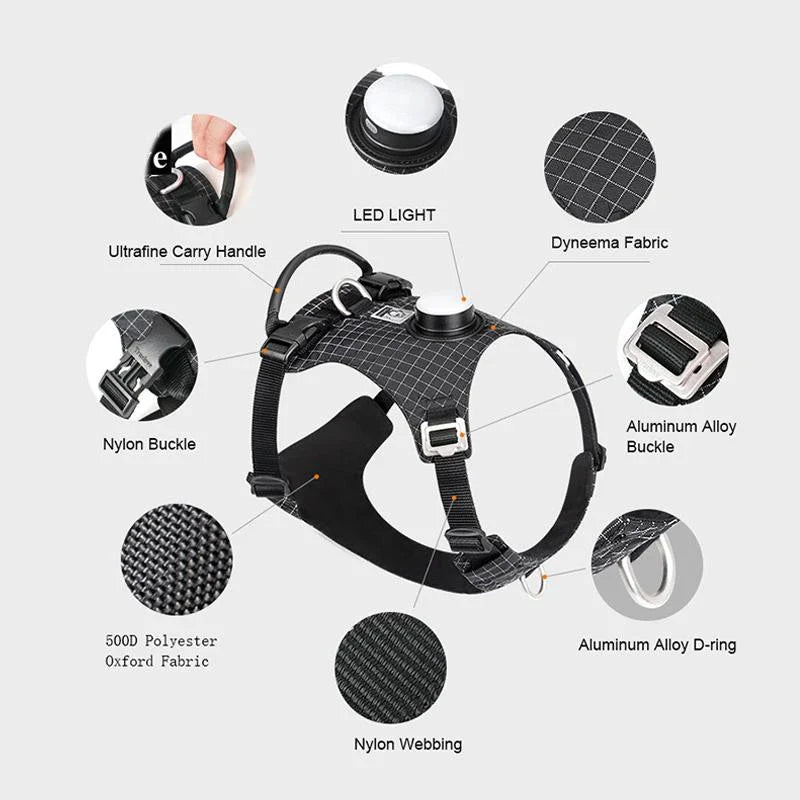 Adjustable LED pet safety harness with 19 vibrant colour modes for maximum visibility during outdoor activities