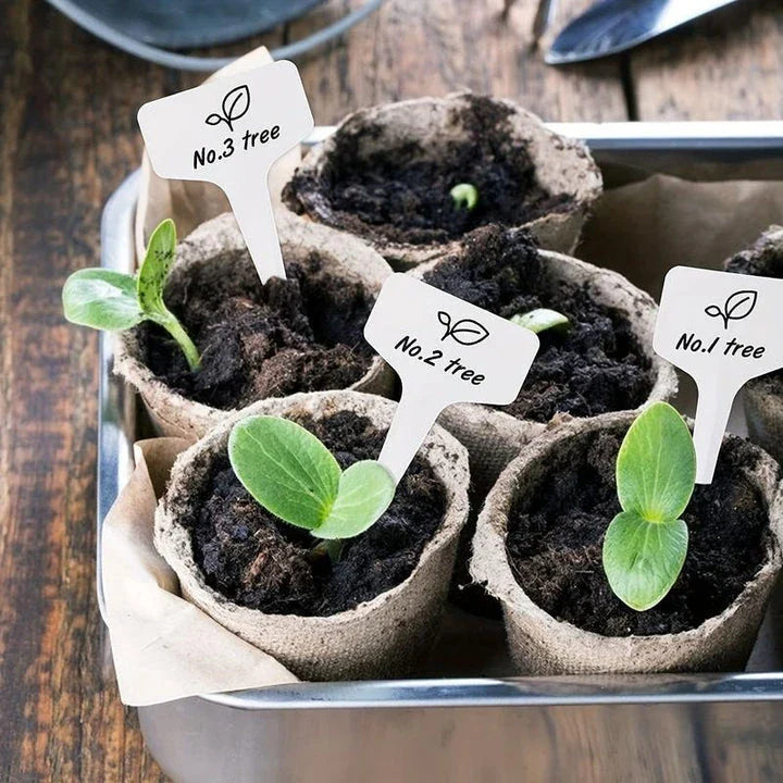 Biodegradable paper nursery pots and plant labels set for sustainable gardening