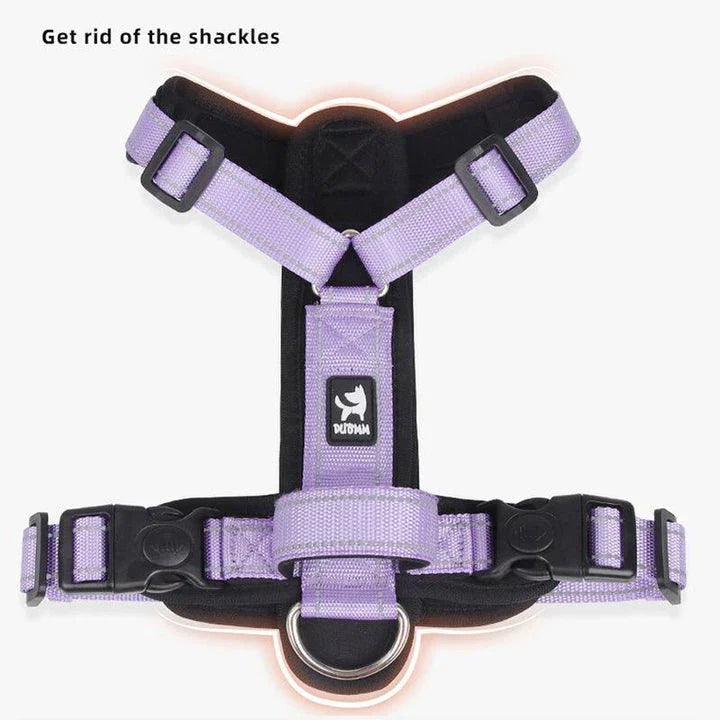 Adjustable reflective padded dog harness in multiple colours for enhanced visibility and safety during walks and outdoor activities