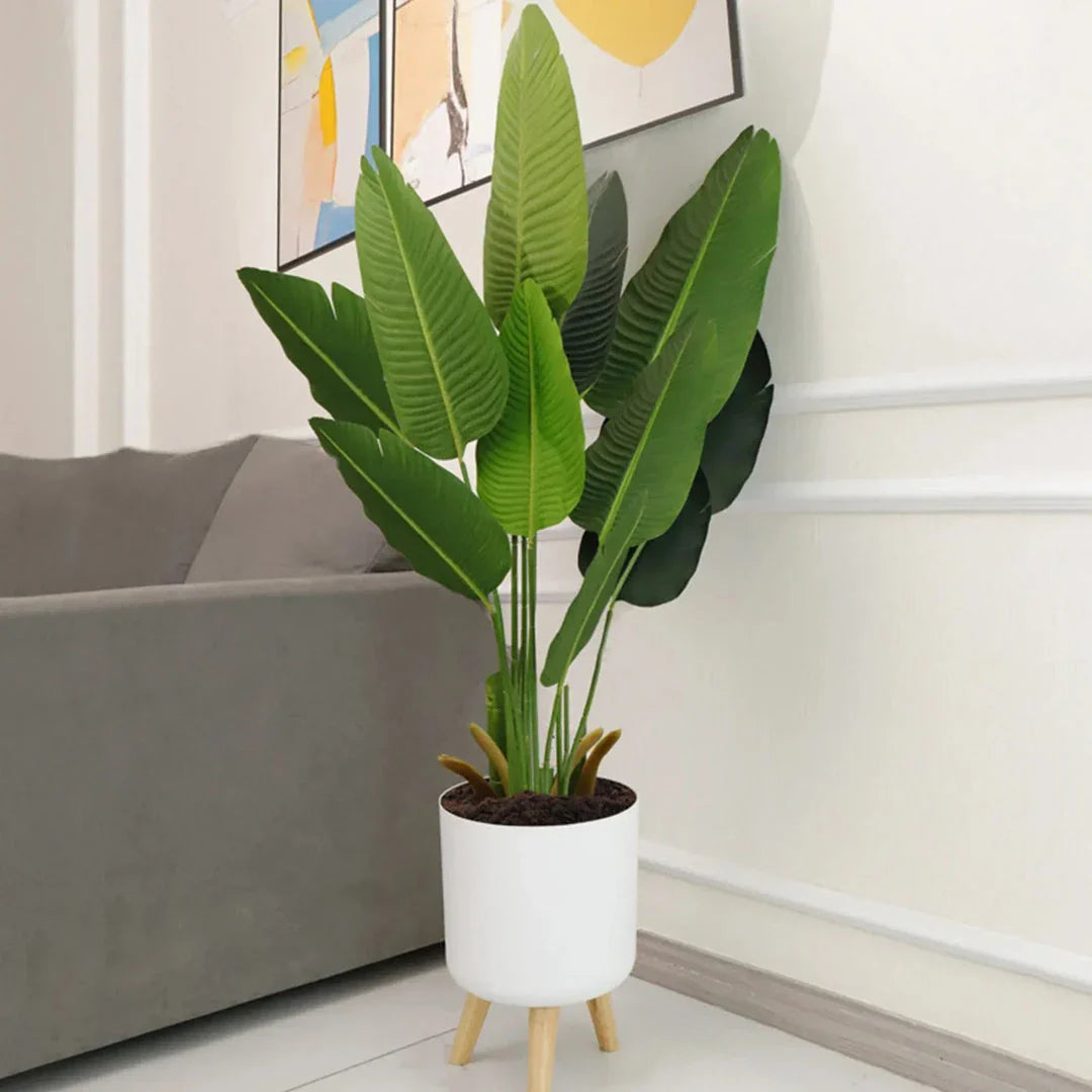 Modern self-watering planter with sleek wooden stand, available in small, medium, and large sizes
