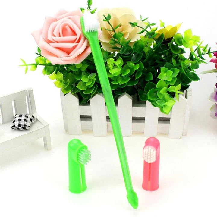 Premium pet toothbrush set with soft, flexible bristles and ergonomic handle for effective and comfortable dental care