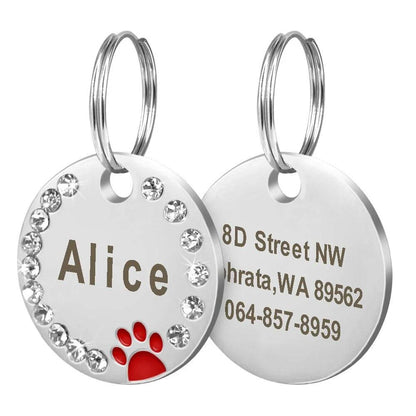 Customisable stainless steel pet ID tags in various colours, designed for identifying and protecting your beloved companion