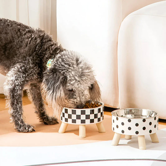 Elevated cat feeder bowl with anti-choking design, made of durable PP plastic and stainless steel for a comfortable and mess-free mealtime