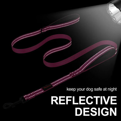 Durable 5ft reflective dog leash with padded dual handles for enhanced control and visibility during walks