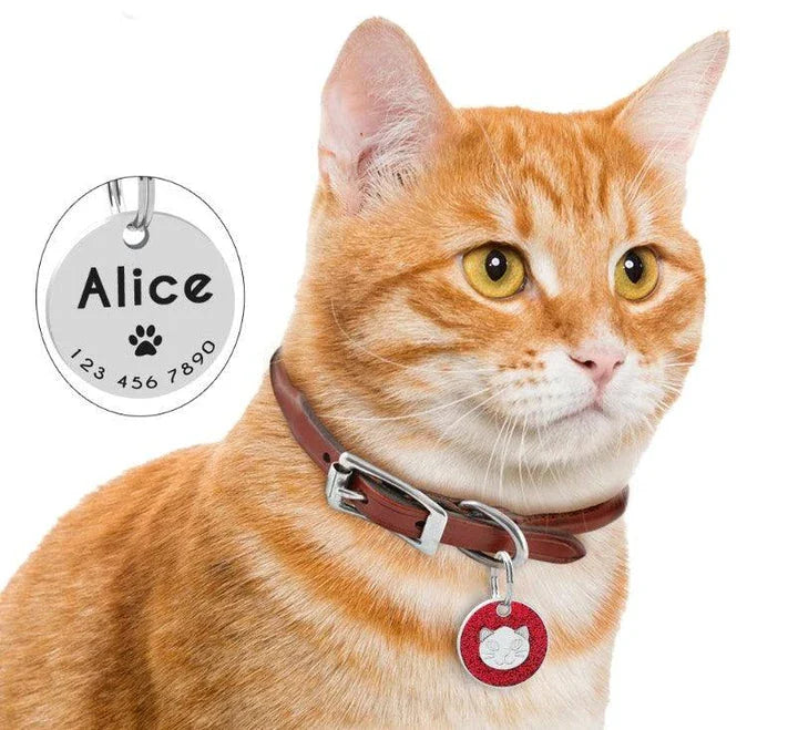 Premium stainless steel ID tag with personalised engraving and glitter accent, a stylish accessory for everyday use