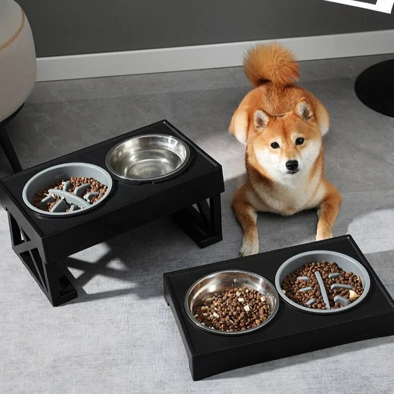 Adjustable height dog bowl stand with slow feeding option, suitable for medium to large dogs