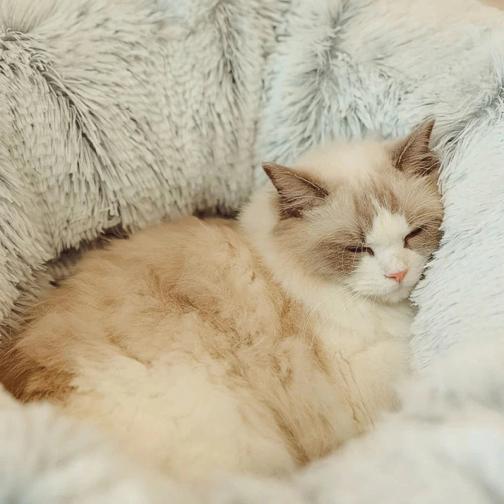Cosy grey cat tunnel bed with plush cushion, providing a multifunctional and foldable retreat for indoor cats