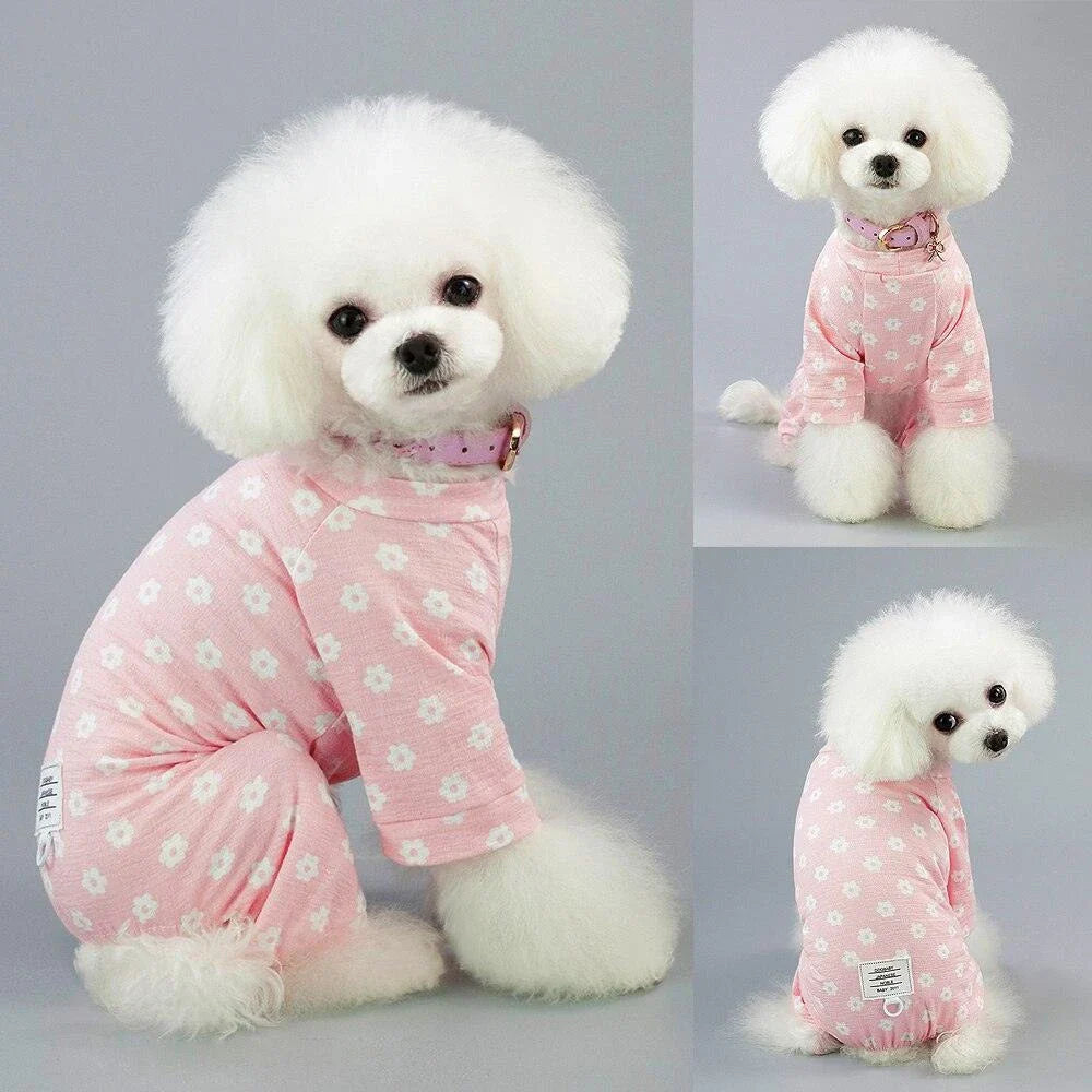 Floral dog jumpsuit in blue and pink colours, made from 100% soft cotton for comfort and style.