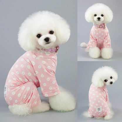Floral dog jumpsuit in blue and pink colours, made from 100% soft cotton for comfort and style.