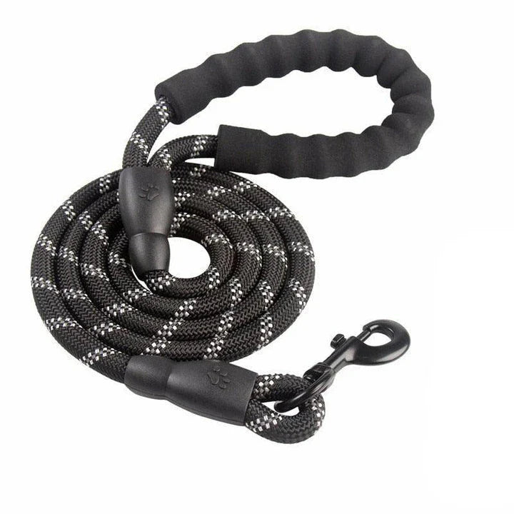 Durable and reflective nylon rope lead for dogs, available in multiple adjustable lengths for enhanced visibility and safety during walks.