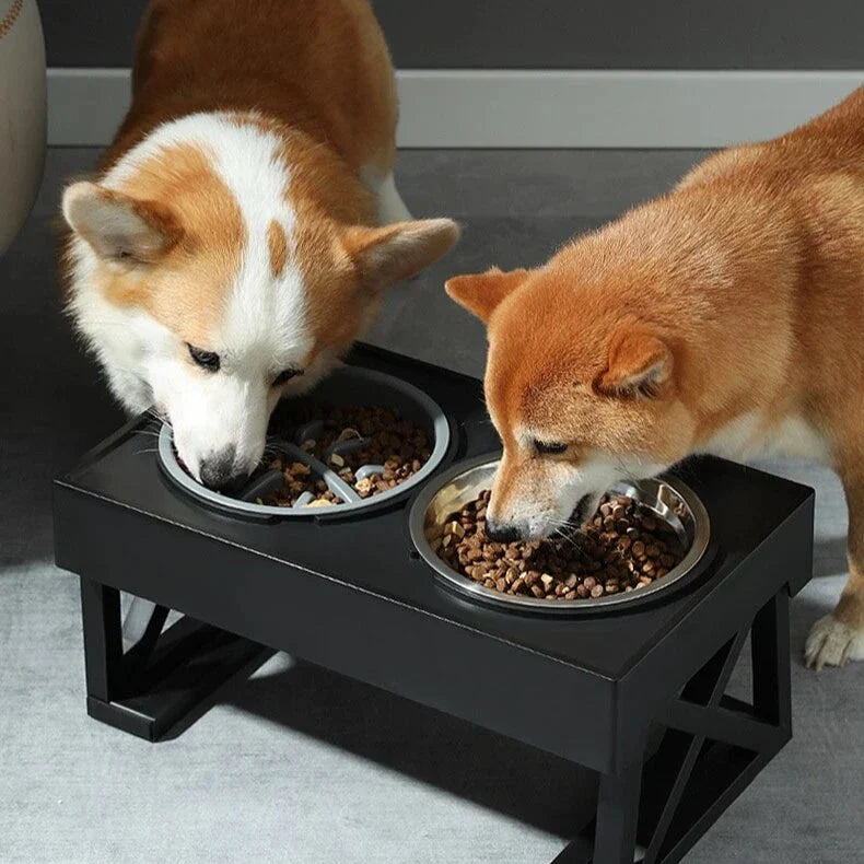 Adjustable height dog bowl stand with slow feeding option, suitable for medium to large dogs