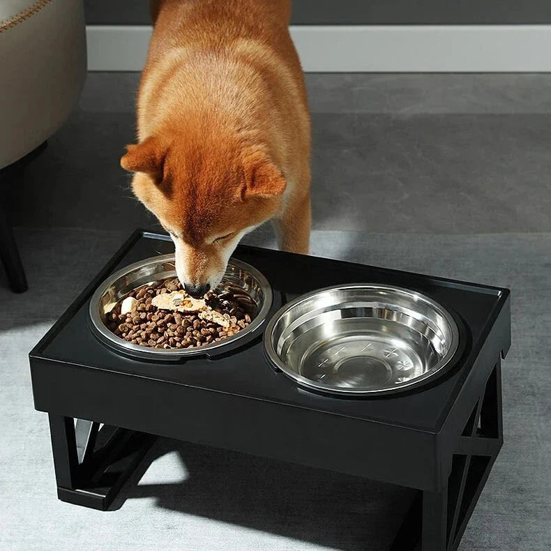 Adjustable height dog bowl stand with slow feeding option, suitable for medium to large dogs