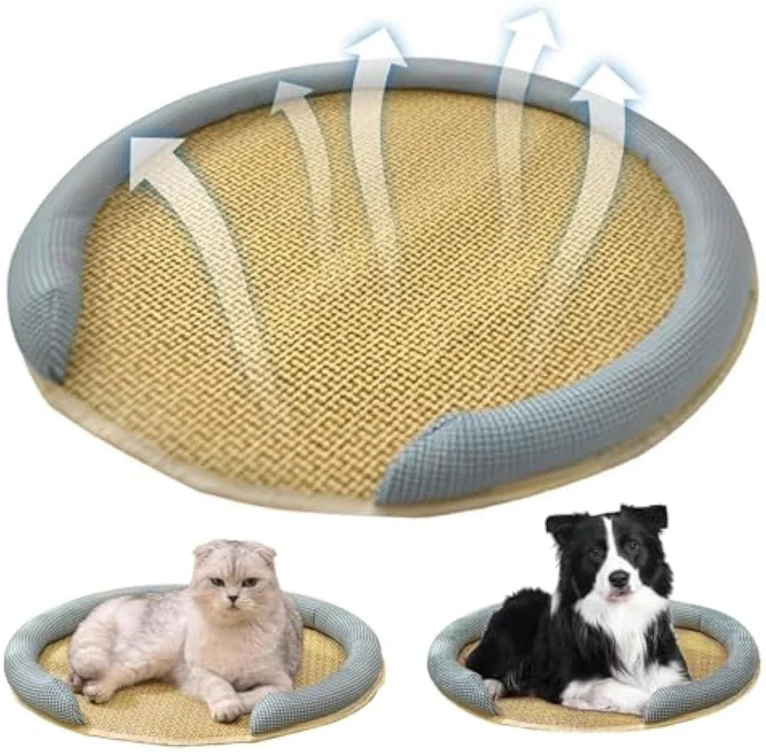 Cooling Rattan Pet Bed with Breathable Cushion for Cats - Stylish and Comfortable Design