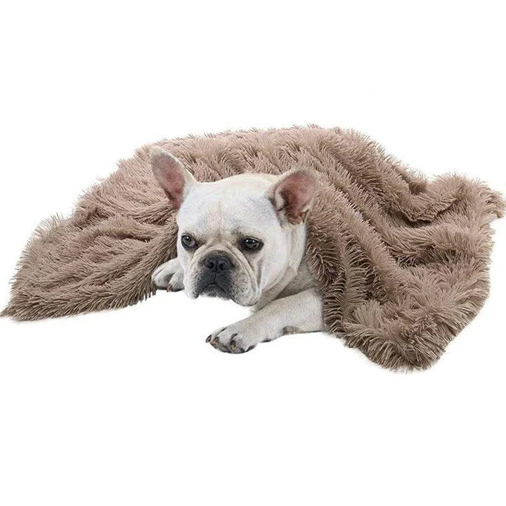 Cosy plush sleeping blanket for pets, available in small, medium, and large sizes, with a soft and luxurious design to provide ultimate comfort for your furry friend.