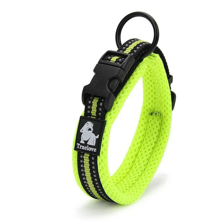 Adjustable nylon dog collar with reflective stripes, available in various vibrant colours for UK pet owners