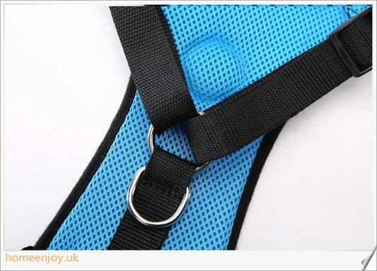 Durable dog safety harness and car seat belt set in 3 colours and 4 sizes for optimal comfort and fit