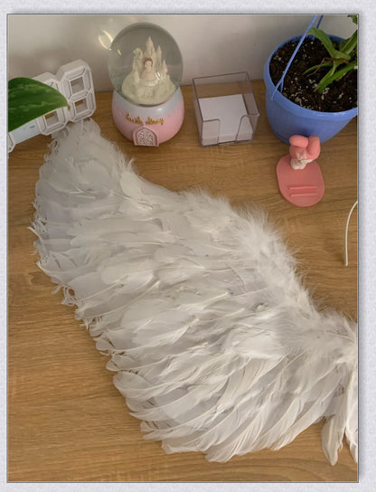 Captivating 3D Angel & Devil Wings in angelic white and devilish black colours, perfect for Halloween, masquerade, and costume parties