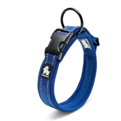 Adjustable nylon dog collar with reflective stripes, available in various vibrant colours for UK pet owners