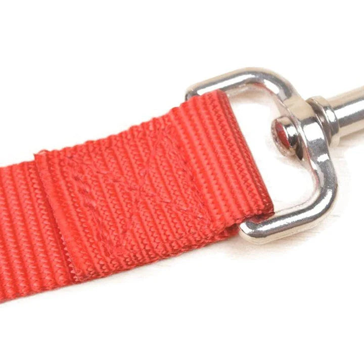 Premium nylon dog leashes in a range of sizes, perfect for casual walks and outdoor adventures with your furry friend in the UK