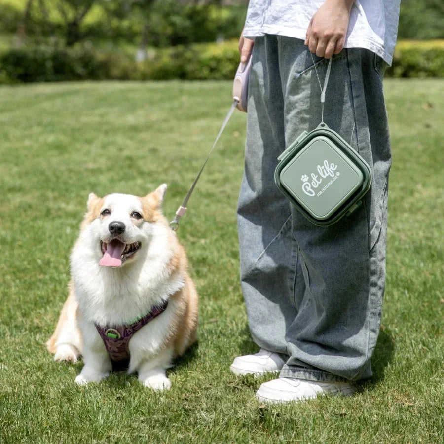 Portable double-decker foldable travel bowl for dogs and cats, featuring separate compartments for food and water, durable plastic construction, and a compact, collapsible design for easy transport.