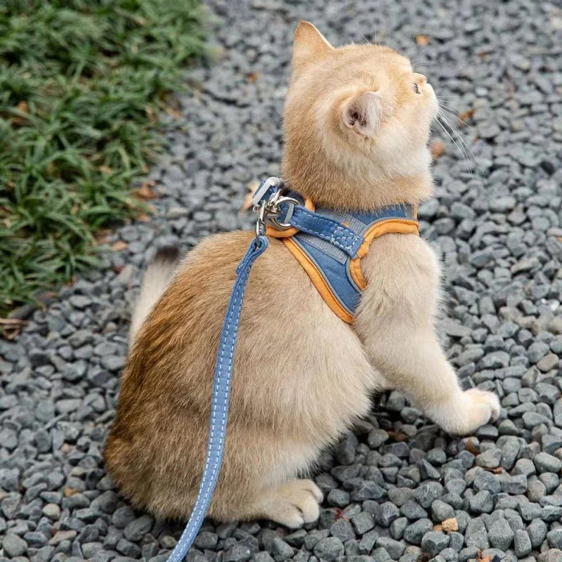 Cosy cat and dog harness and leash set in pink suede fabric for comfortable and stylish walks