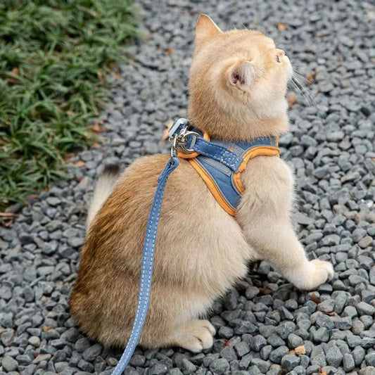 Cosy cat and dog harness and leash set in pink suede fabric for comfortable and stylish walks