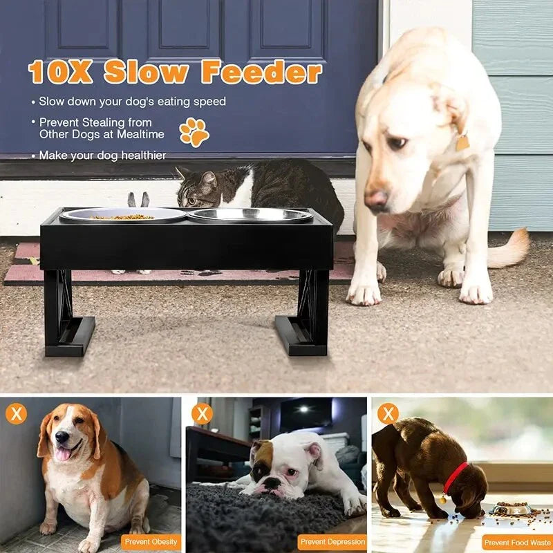 Adjustable height dog bowl stand with slow feeding option, suitable for medium to large dogs