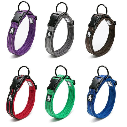 Adjustable nylon dog collar with reflective stripes, available in various vibrant colours for UK pet owners