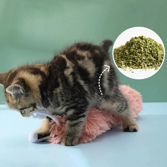 Durable catnip-infused plush toy in a vibrant purple colour, designed to engage and entertain cats during playtime