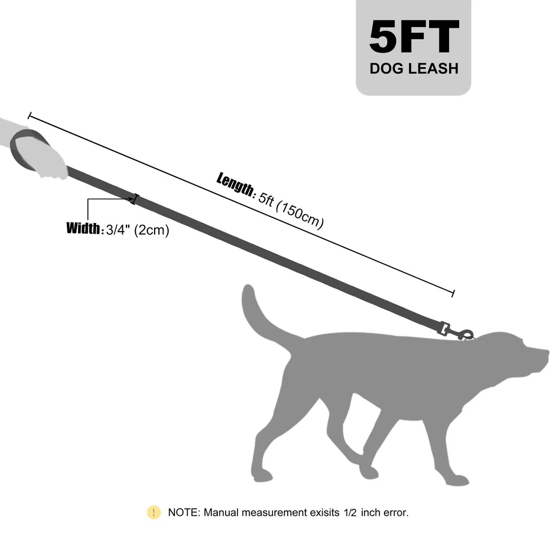 Durable 5ft reflective dog leash with padded dual handles for enhanced control and visibility during walks
