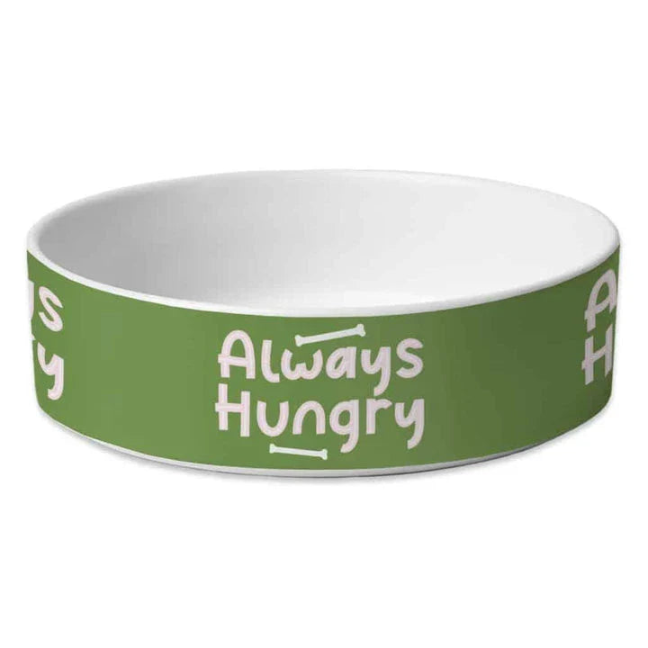 Stylish and durable ceramic pet food bowl in various colours for dogs and cats