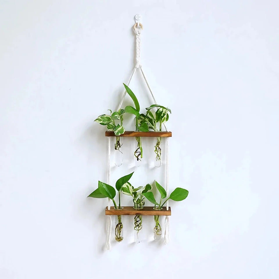 Elegant bamboo hydroponic wall vase with a sleek glass tube suspended in a wooden frame, displaying lush greenery