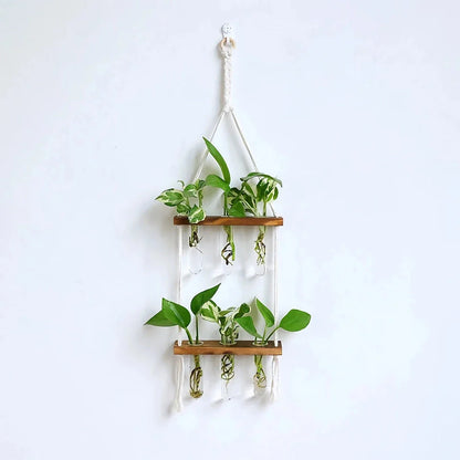 Elegant bamboo hydroponic wall vase with a sleek glass tube suspended in a wooden frame, displaying lush greenery