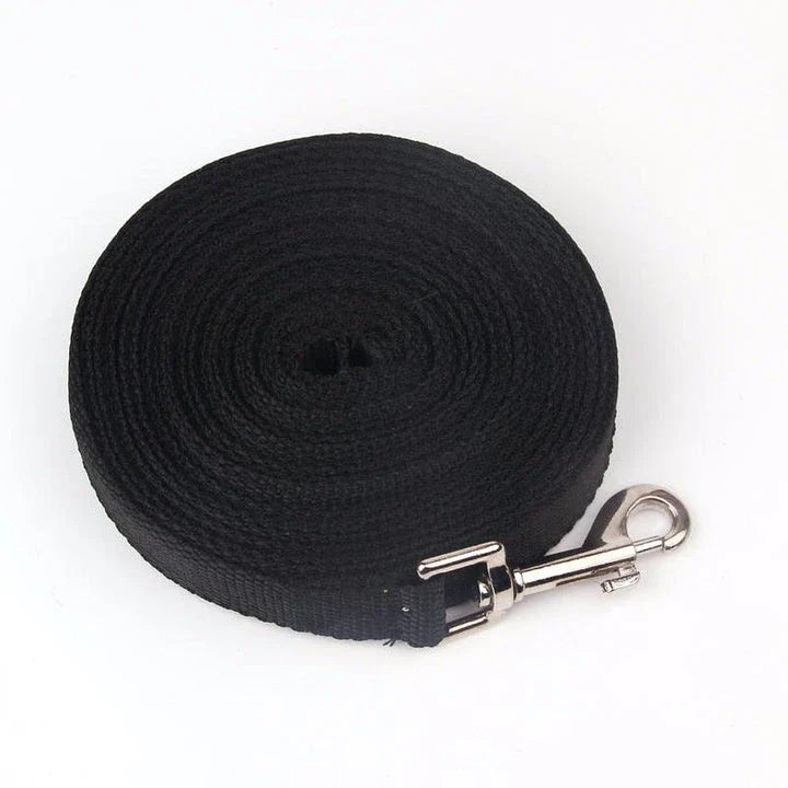 Premium nylon dog leashes in a range of sizes, perfect for casual walks and outdoor adventures with your furry friend in the UK